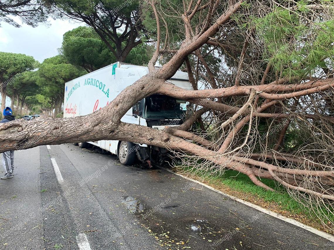 Maltempo, Appia chiusa dal chilometro 63 al 95. Strage di alberi