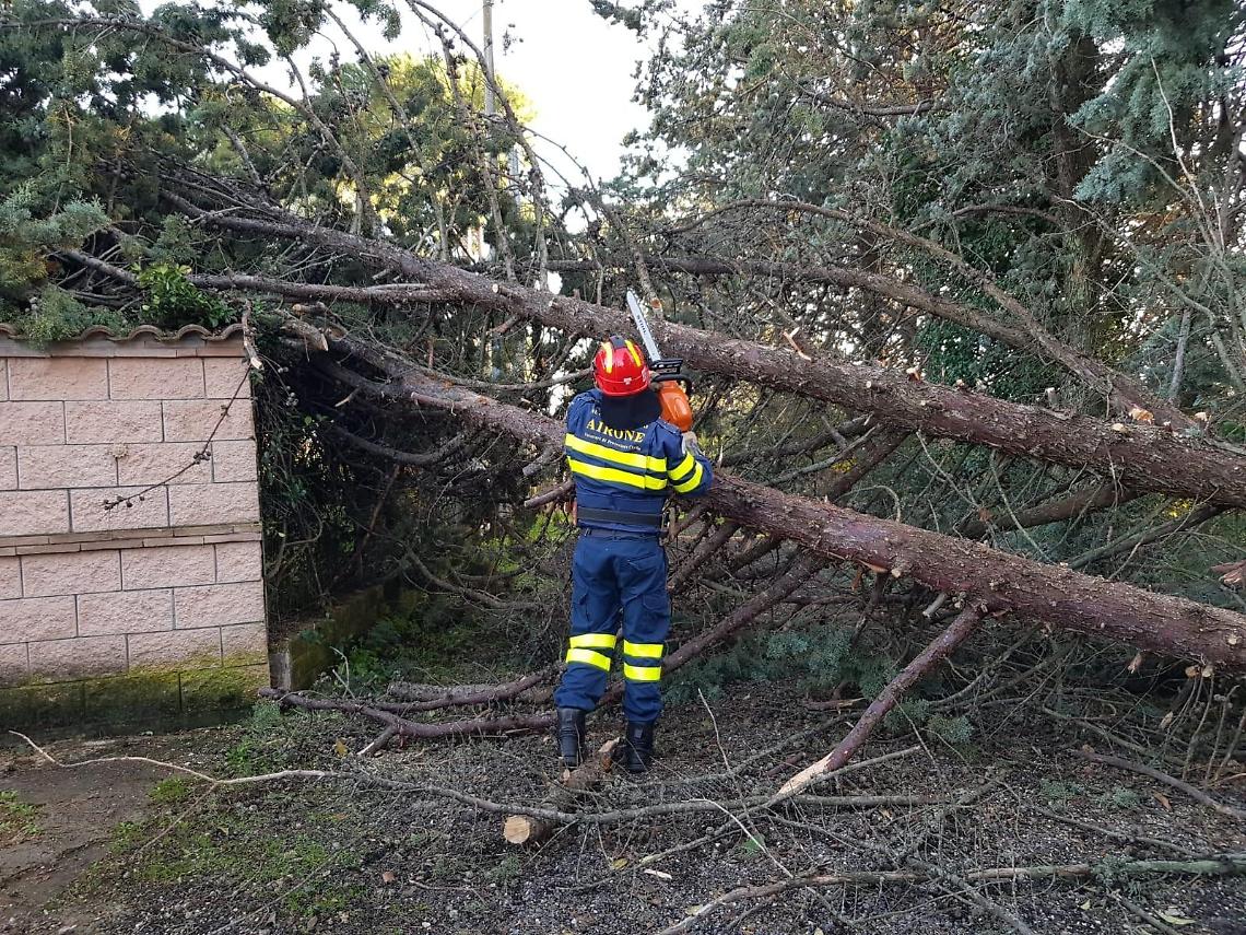 Maltempo, il litorale romano conta i danni. Centinaia di alberi caduti