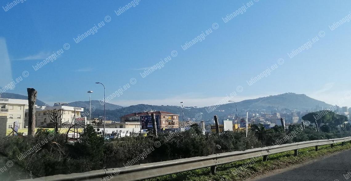 Terracina, l'Appia dice addio a 65 pini marittimi. Iniziati gli abbattimenti