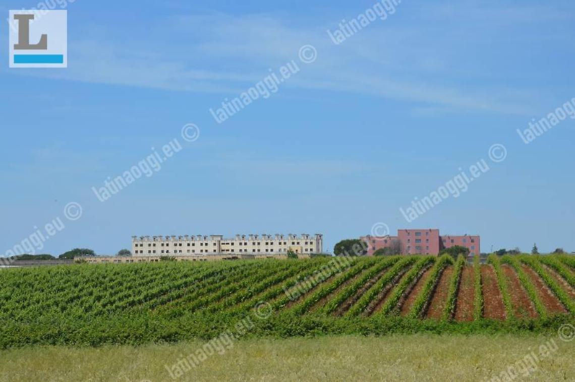 Universit&agrave; nel carcere, la proposta arriva da Velletri