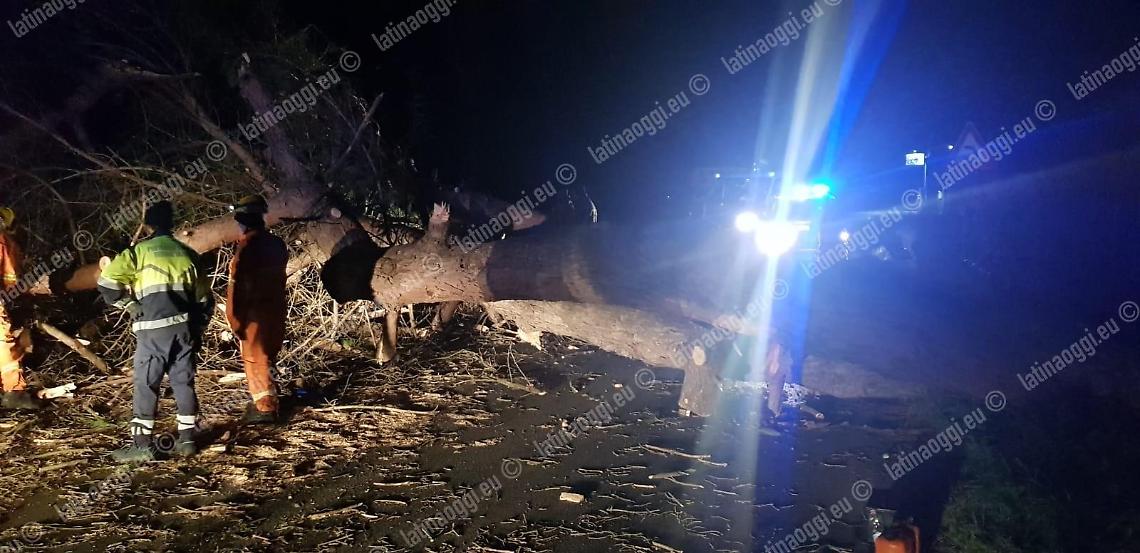 Vento forte, i vigili del fuoco chiudono una strada