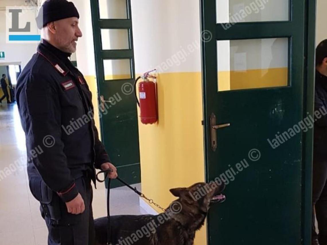 Scuole Sicure: i sequestri dei carabinieri in un istituto superiore