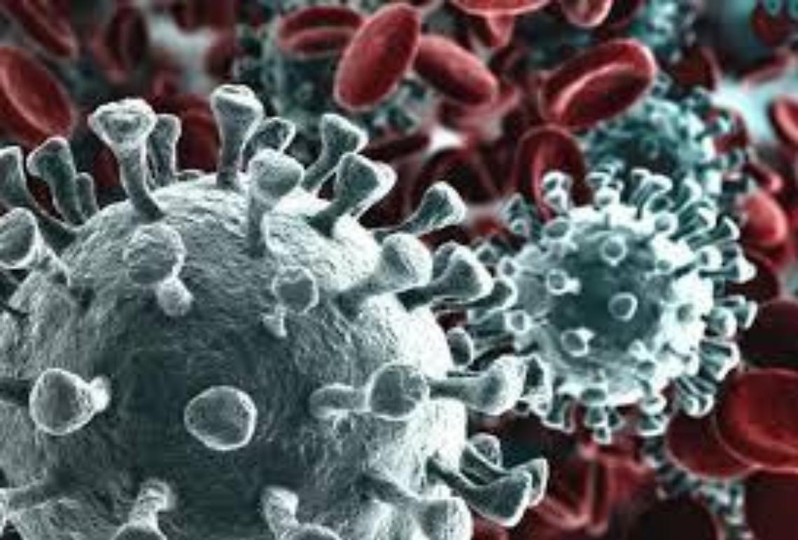 Coronavirus, nuovo caso accertato a Pomezia