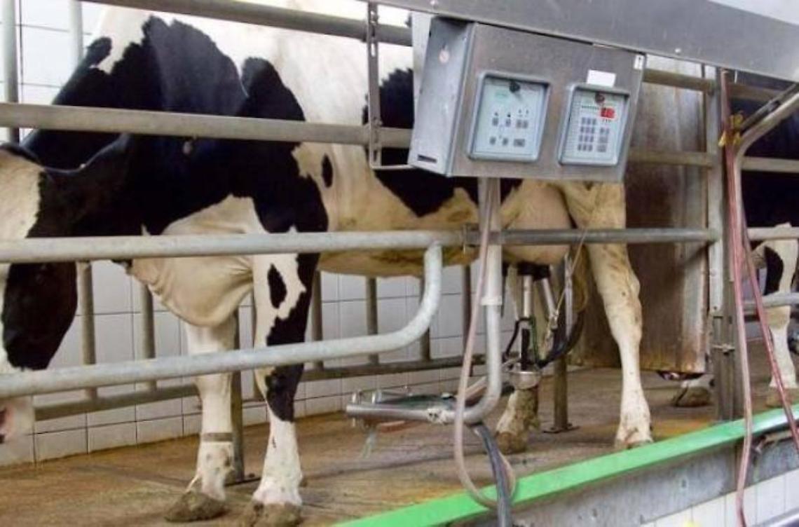 Il Coronavirus blocca il ritiro del latte: ora &egrave; allarme in tutto il Lazio