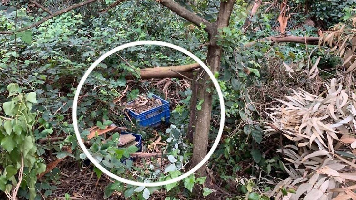 Incredibile scoperta: mattoni antichi nascosti nel giardino di Villa Borghese