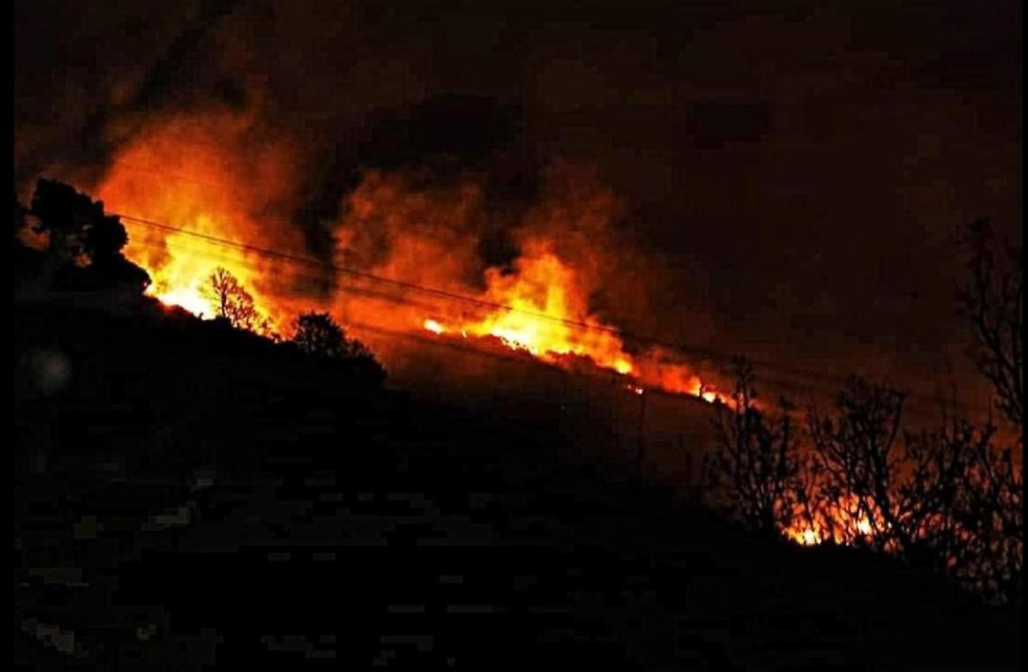 Vasto incendio. Inghiottita molta vegetazione