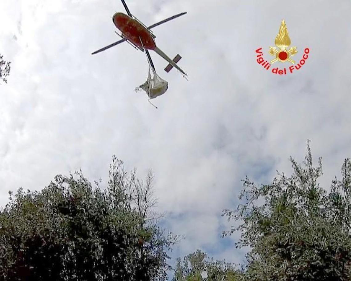 Spettacolare salvataggio di una mucca colta da malore