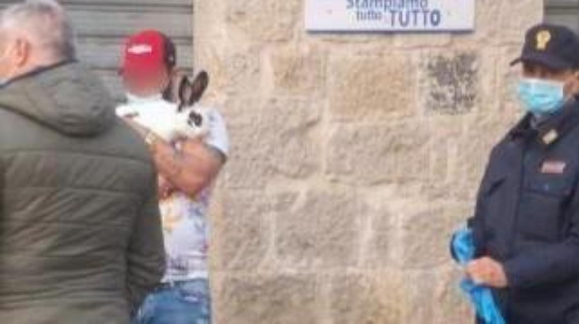 Coronavirus e controlli, portava a spasso il coniglio: sanzionato dalla polizia