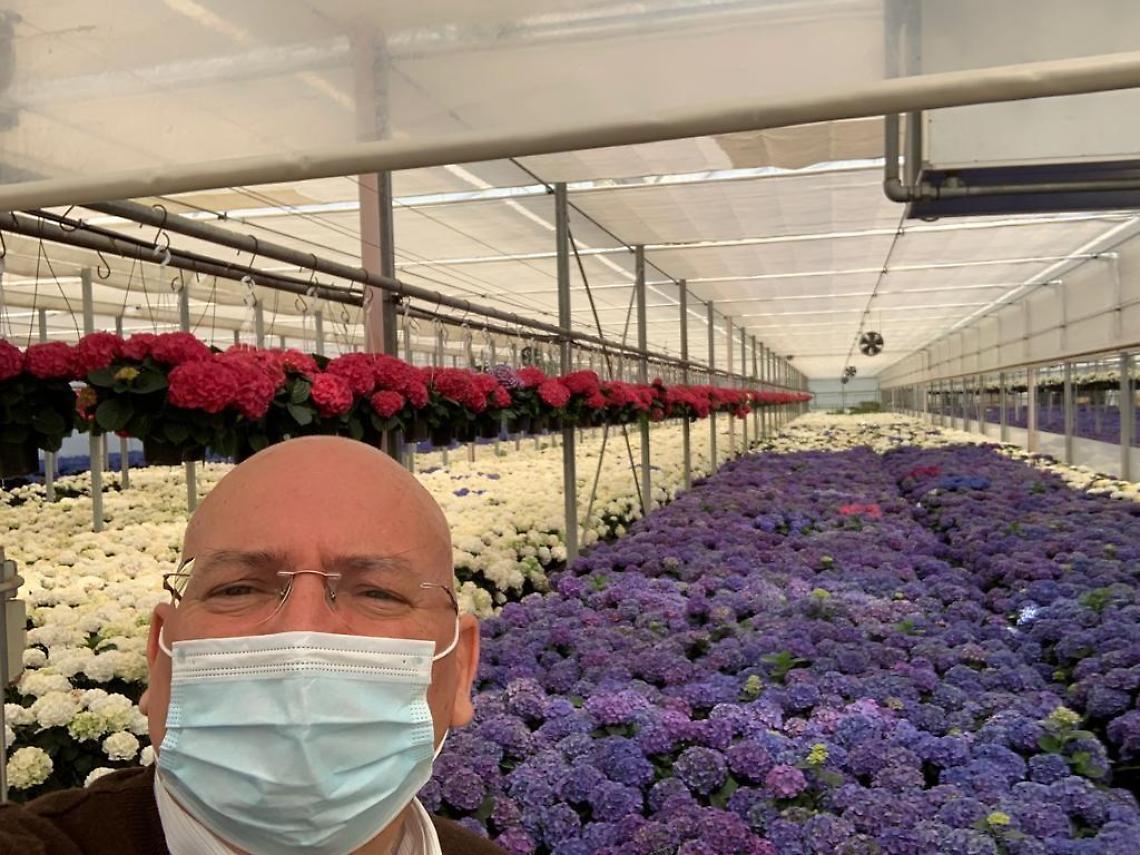 Adinolfi: l'Europa adotti misure specifiche per sostenere i florovivaisti