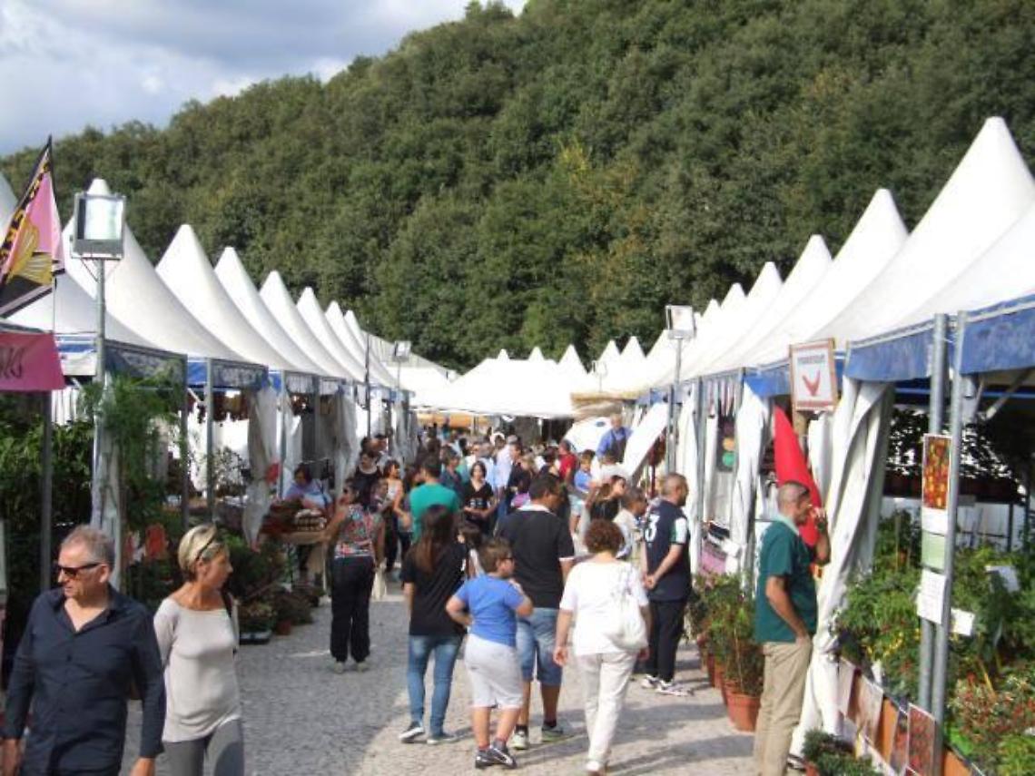 Torna il mercato di Monticchio: domenica la riapertura