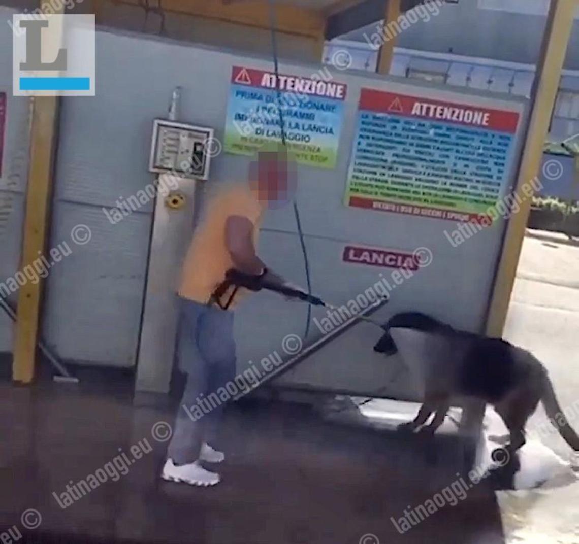 Lava il cane al carwash: gli accertamenti della polizia locale