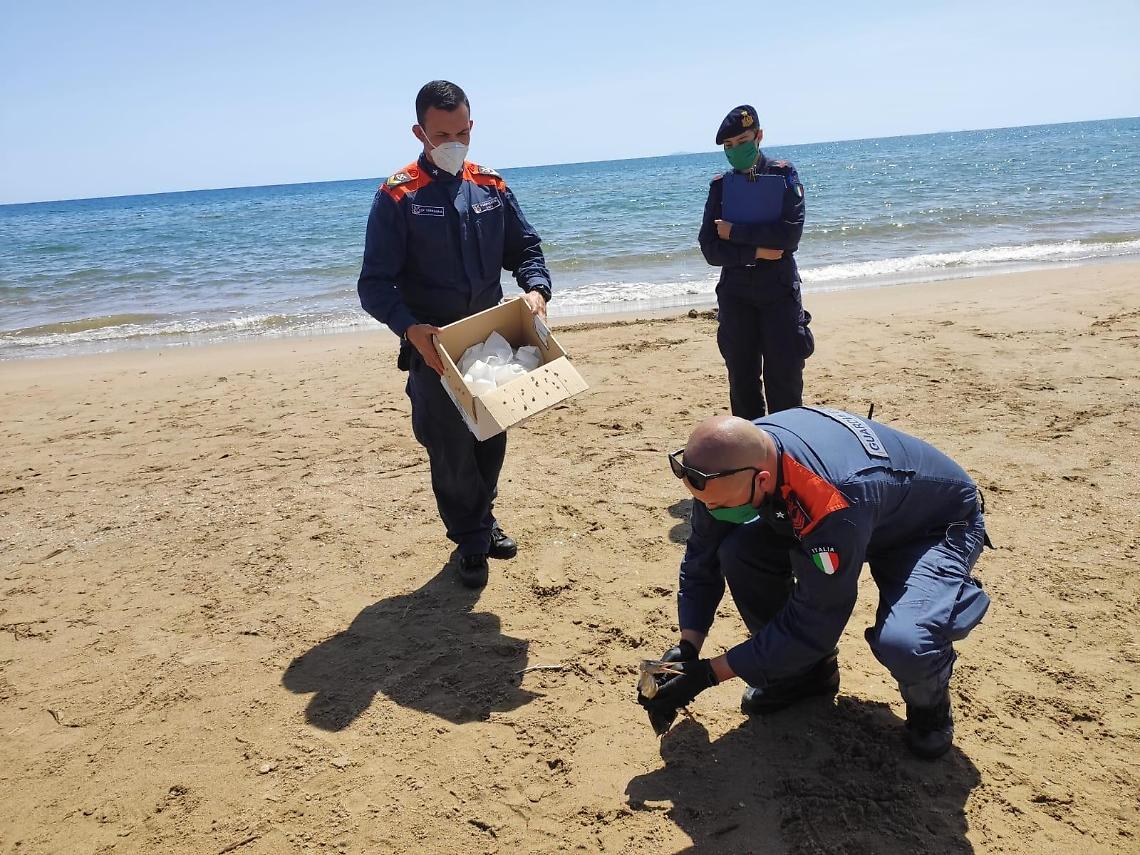 Un rarissimo airone stellato trovato ferito sull'arenile