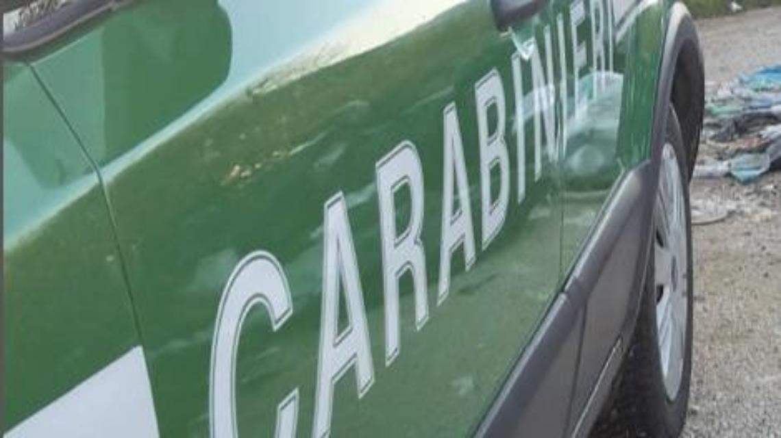 Una task force contro gli incendi: l'impegno per combattere i roghi estivi