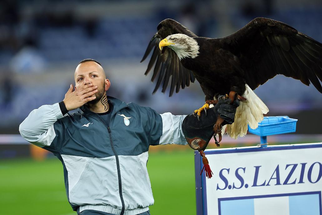 La "nuova" aquila Flaminia