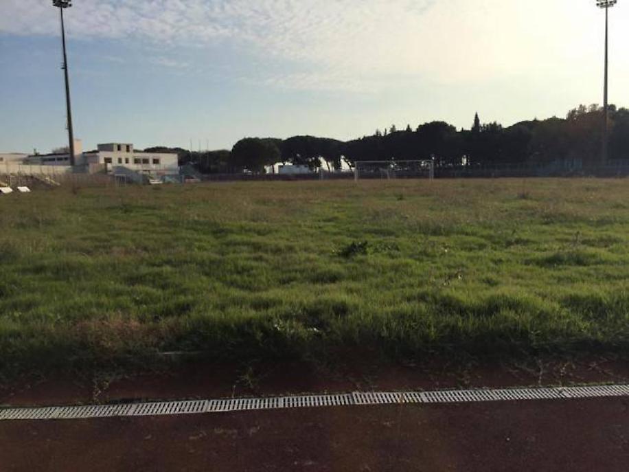 Foto tratte dalla pagina facebook "Terracina segnalazioni e denunce"