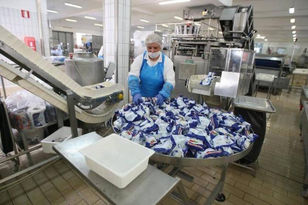 I dipendenti al lavoro nello stabilimento (FOTO: PIRAZZI)