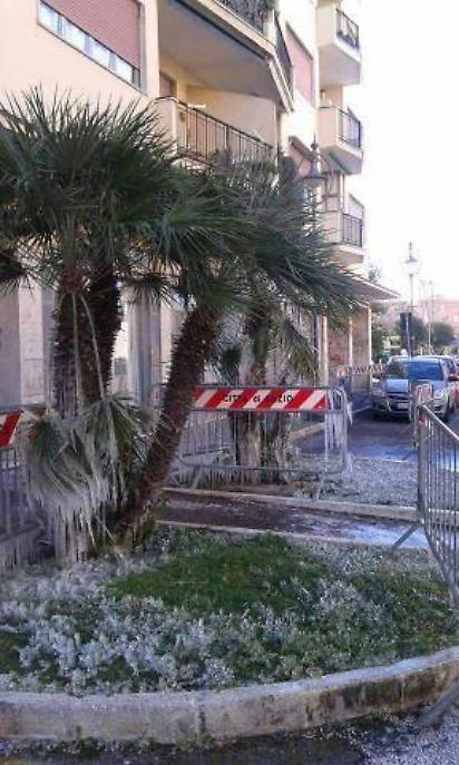 (Foto: Roberta Leoni)
