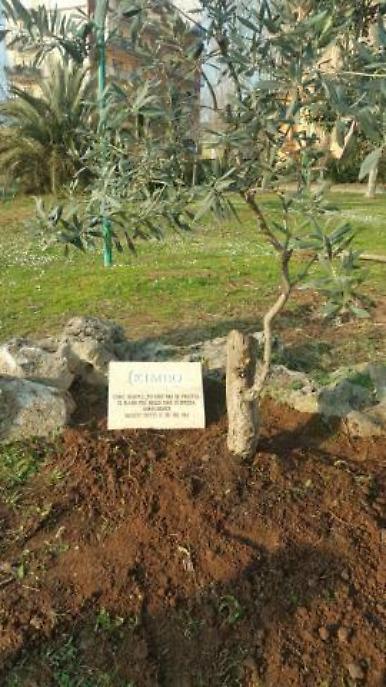 La targa commemorativa nel parco degli Alpini 