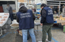 Controlli della Guardia Costiera tra Gaeta e Fondi: sequestrati 160 kg di prodotti ittici e multe