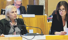 Forza Italia, distinguo e critiche: "Il sindaco non ha difeso Nasti"