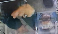 Rapina al tabaccaio a Latina, fermato uno dei presunti aggressori: decisiva un&rsquo;impronta