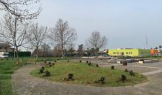 Progetto &ldquo;Ossigeno&rdquo;: piantumati oltre 100 alberi a Cisterna