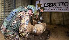 Ordigno della Prima Guerra Mondiale bonificato ad Aprilia: operazione conclusa con successo