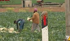 Coldiretti e le istituzioni: "No alla città del caporalato"