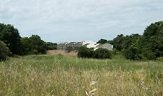 Terme di Fogliano, il question time scatena le polemiche