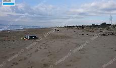 Furti sul lungomare, rompono il vetro dell’auto e rubano il cellulare