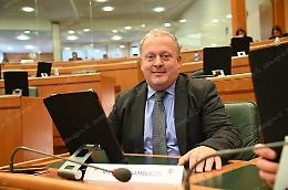 Moria del kiwi, Sambucci (Fdi): "Quelle di La Penna sono menzogne fuori luogo"