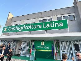 La filiera del grano e le sfide globali del settore agricolo