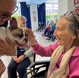 Un cane per gli anziani con il progetto di Korian "Amici per la coda"