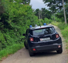 Incidente sul lavoro, 40enne cade dalla scala e finisce nel fossato