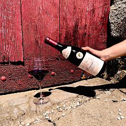 Vini d'Abbazia, tutto pronto per l'edizione 2024 a Fossanova