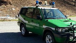 Incendio boschivo, bruciano tre ettari di macchia mediterranea