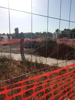 Lavori nel parco, abbattuto  l’albero in ricordo di Roberto Fiorentini