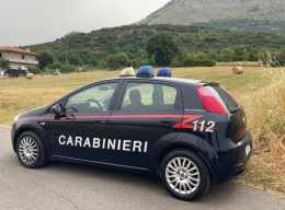 Ladri di olio in azione: entrano nel frantoio VinPia e se ne vanno con 400 litri di prodotto