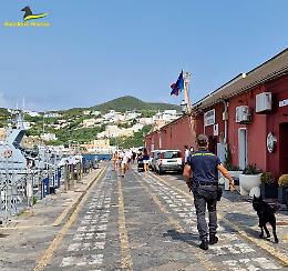 Guardia di Finanza a Ponza: controlli antidroga sui turisiti