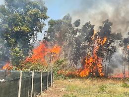Pauroso incendio tra via Genio Civile e via Bacchiglione, evacuate le case