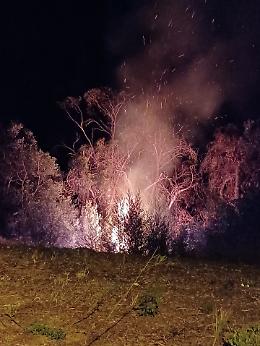 Incendio nella notte, le fiamme arrivano a minacciare le abitazioni