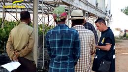 Ispezioni della Finanza nelle aziende agricole: irregolare la metà dei contratti