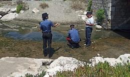 Morìa di pesci per ipossia, allarme nel canale Recillo