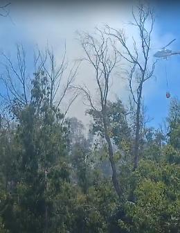 Vasto incendio nel bosco a ridosso del Santuario della Madonna della Sorresca