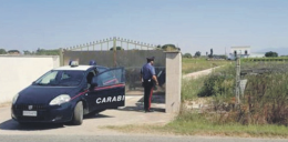 Braccianti in nero, sospesa un'azienda di Aprilia