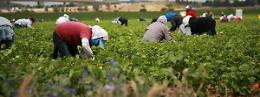 Controlli nelle aziende agricole, la Polizia  ne sanziona due