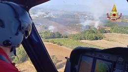 Incendi boschivi in aumento, il bilancio dei Vigili del Fuoco