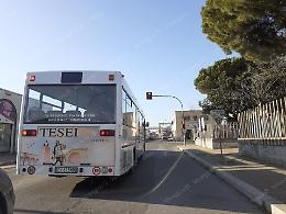 Tpl, servizio prorogato per altri 6 mesi alla Nuova Tesei Bus 