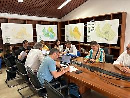 Troppi mesi per una gara, l’estate senza disinfestazione