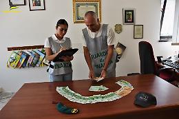 Frode per 80 milioni col bonus edilizio: arresti nel sud pontino